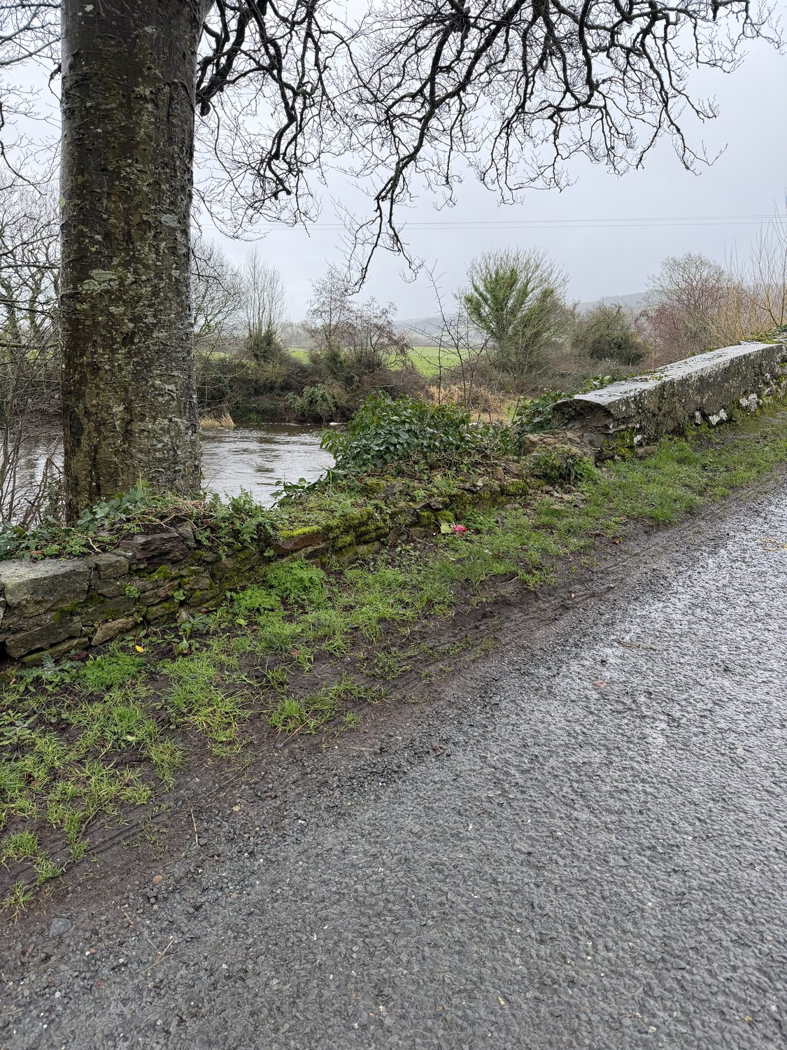 The point where the collapsed section of wall meets the intact, capped section. A vehicle leaving the road here meets no barrier before the River Aherlow.