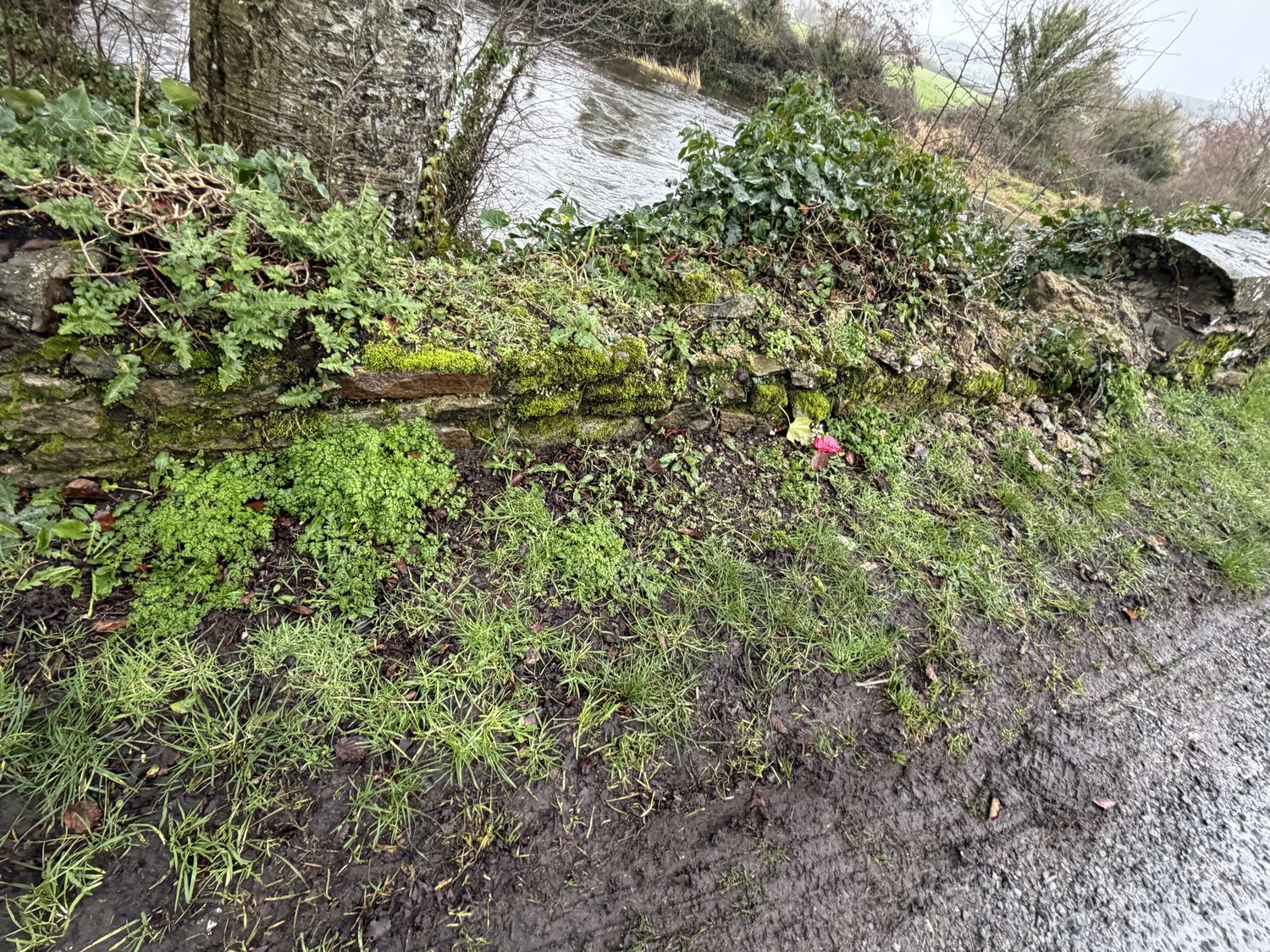 The exact point on the bridge the car reached, capping removed