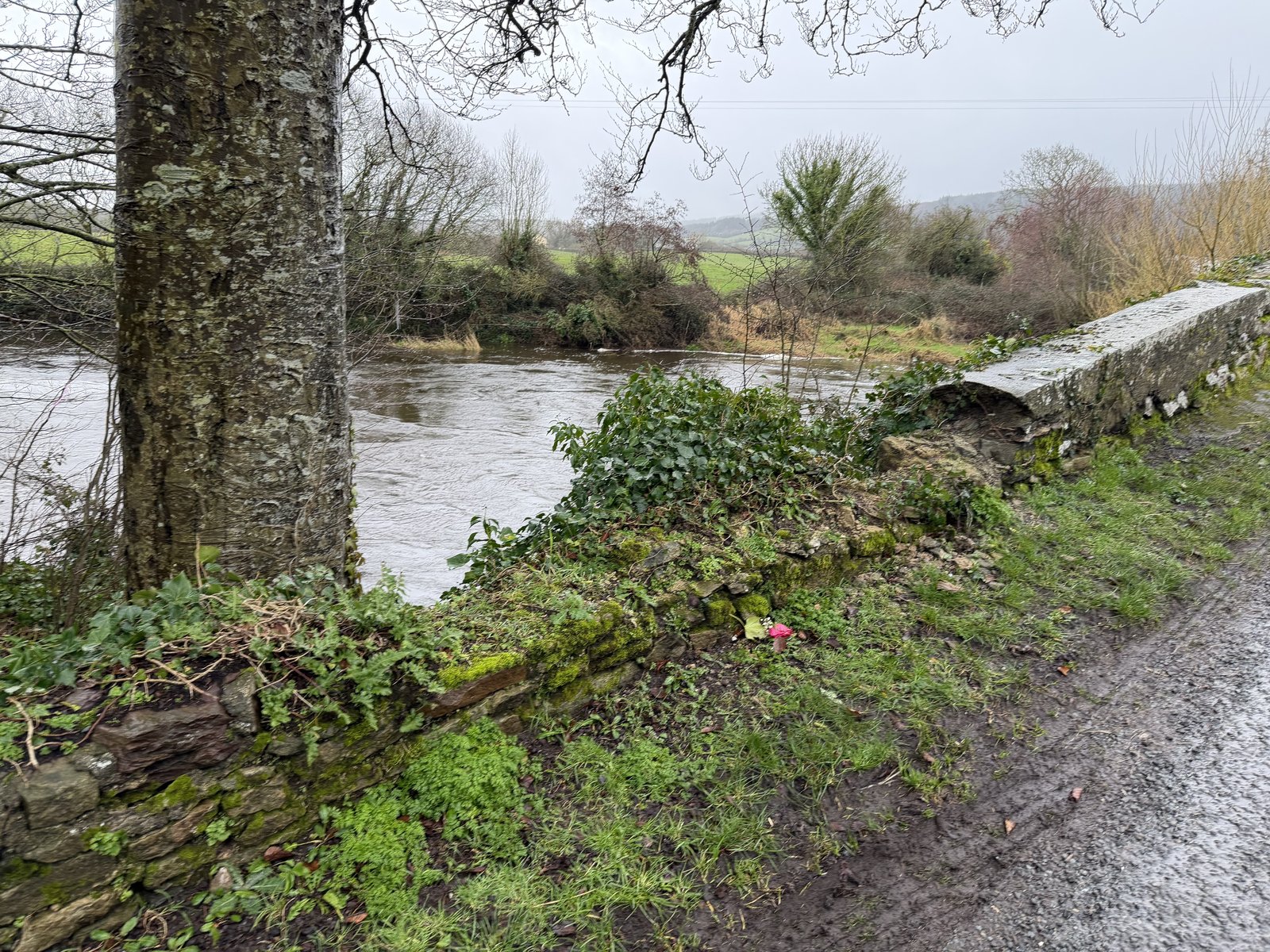 The collapsed section beside the River Aherlow.