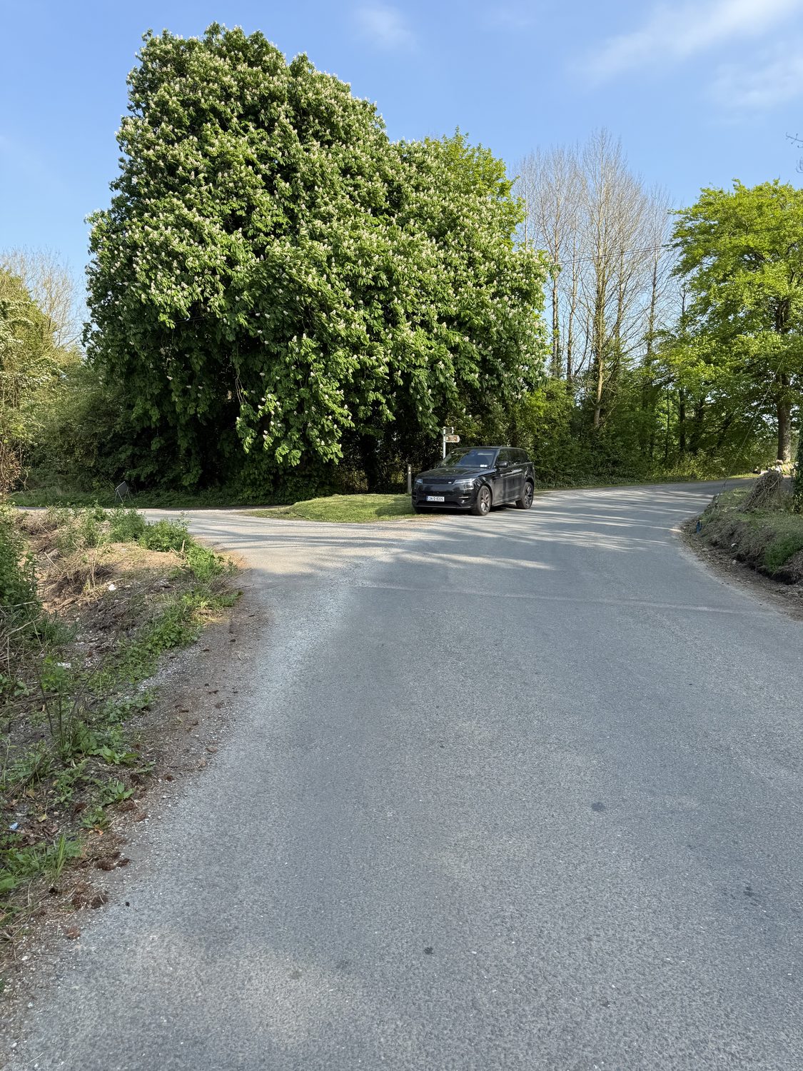 The split junction on the approach to Killardry Bridge, 1 May 2025
