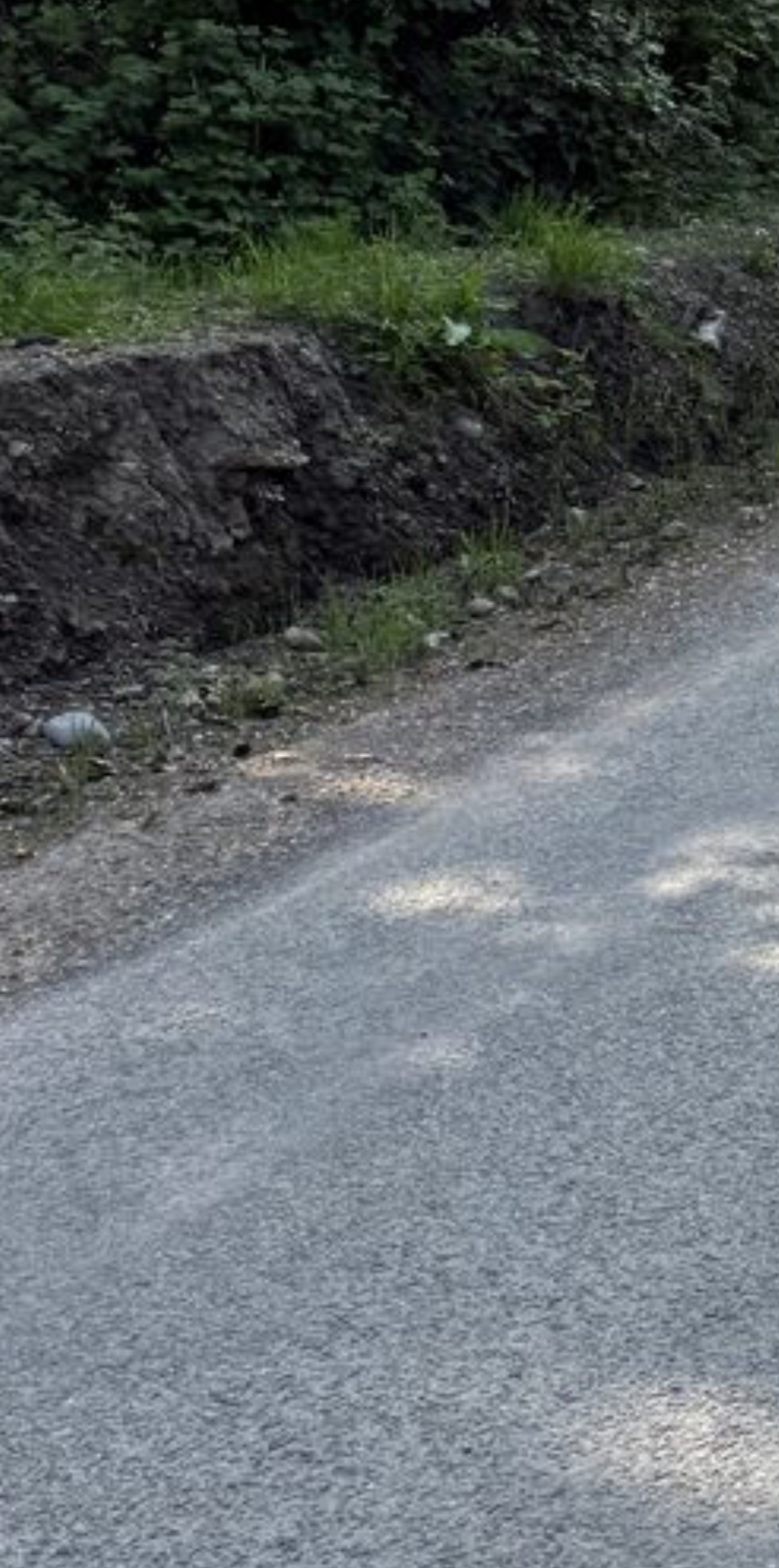 Enlarged detail of freshly disturbed soil and loose stones along the verge edge, 1 May 2025